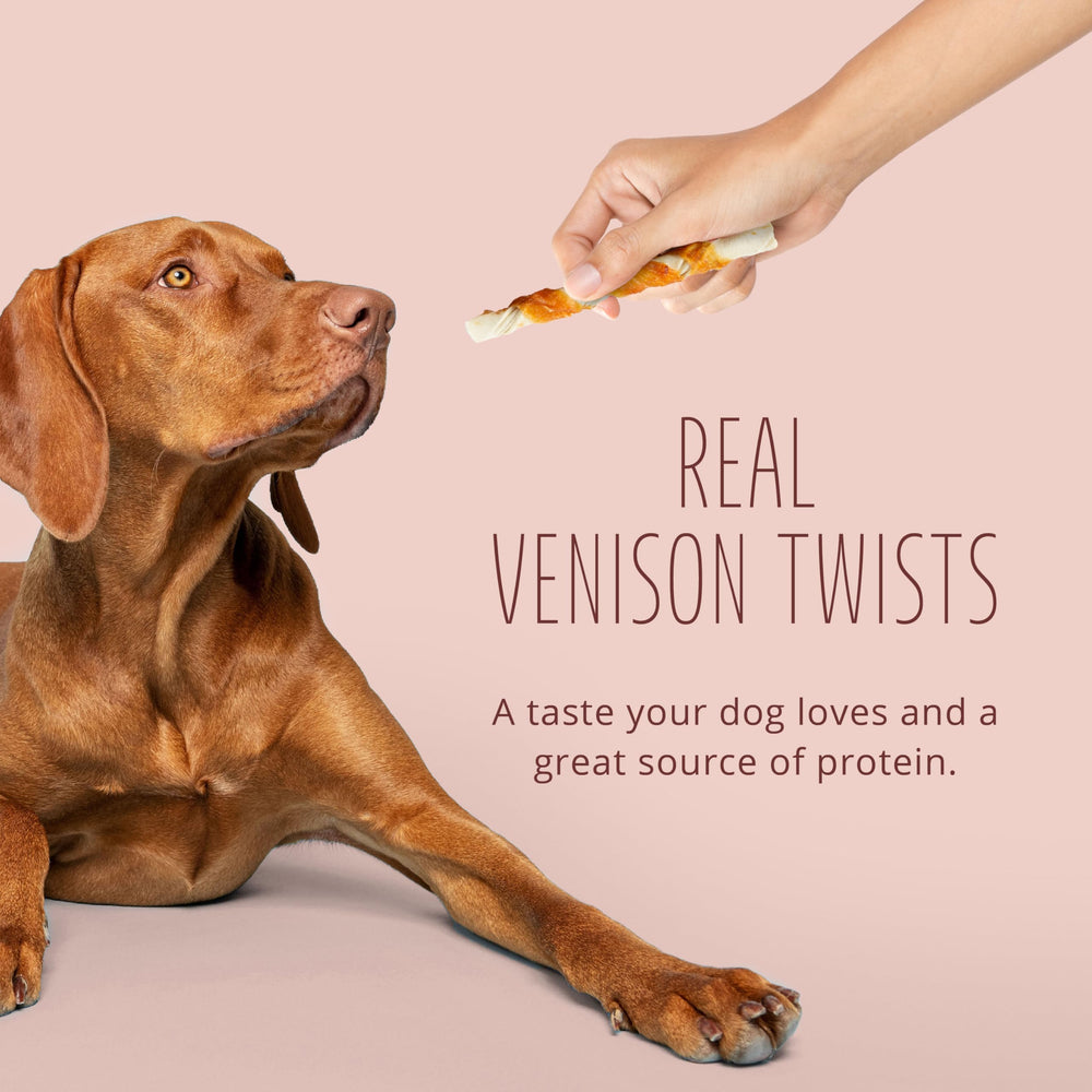 Better Belly perro masticando twist stick para entretenimiento supervisado