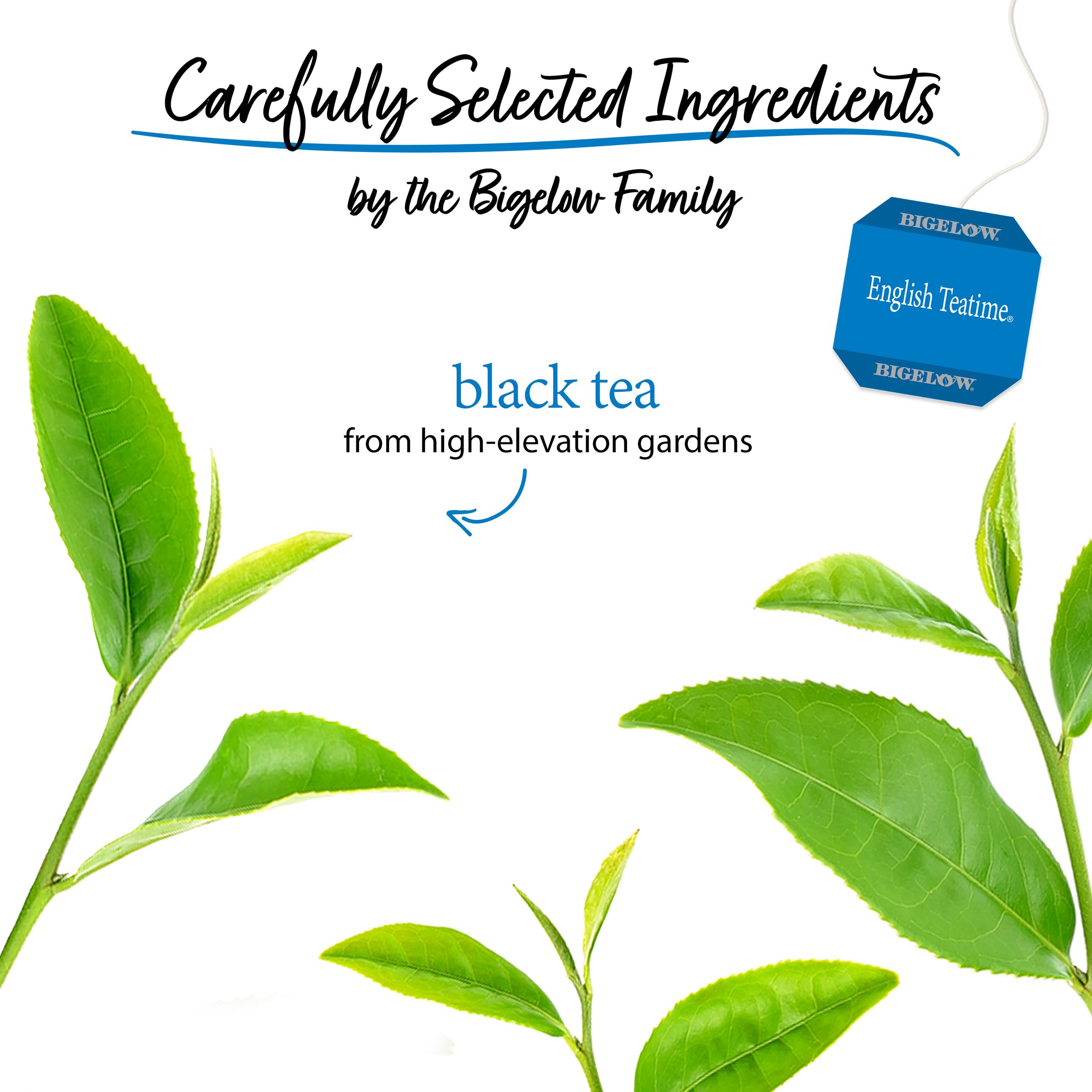 Bigelow mountain-grown loose leaf texture detail highlighting robust flavor and quality