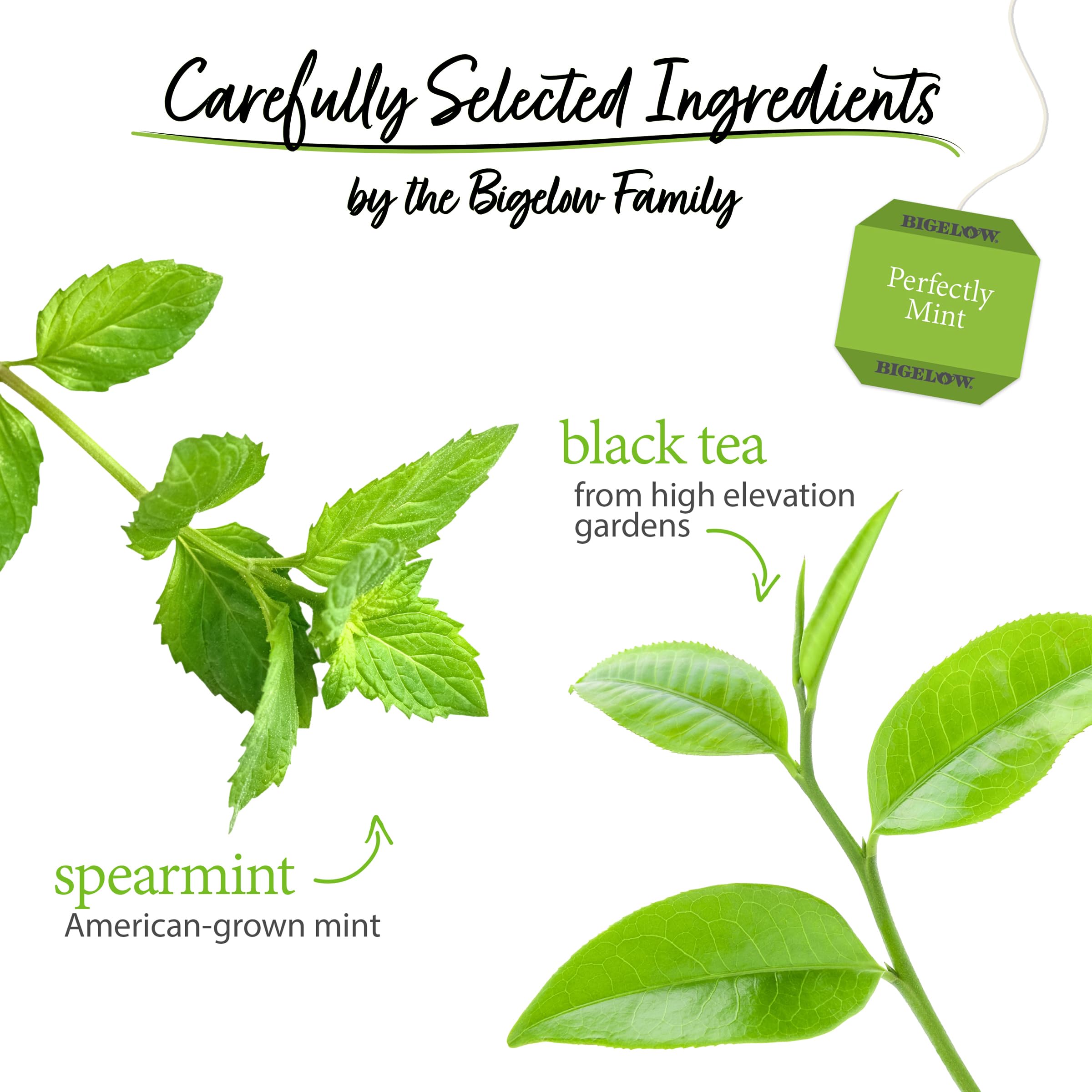 Bigelow tea bag close-up texture and tag showing quality build and filtration