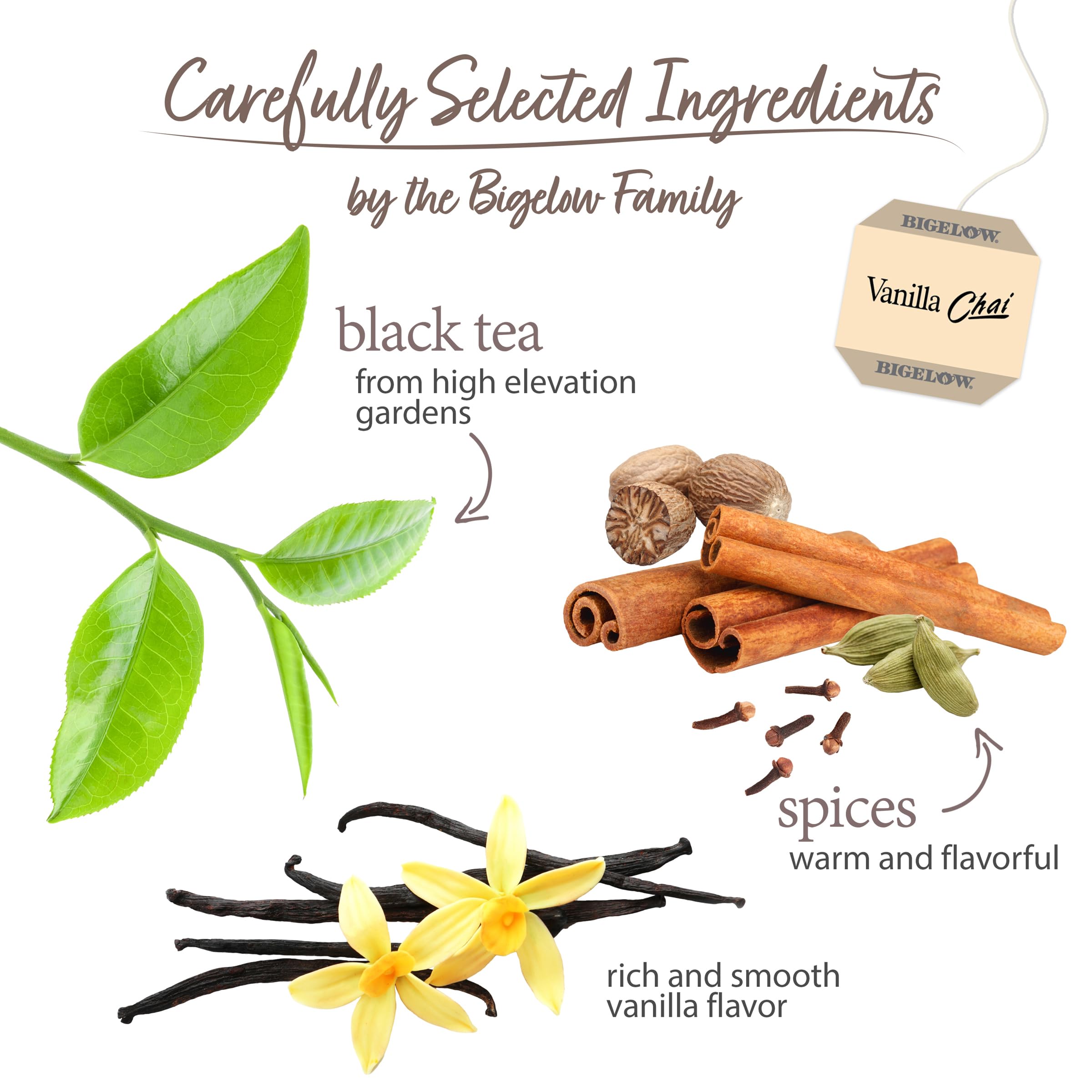 Bigelow tea bag steeping in cup releasing vanilla chai aroma, delivers comforting flavor benefit