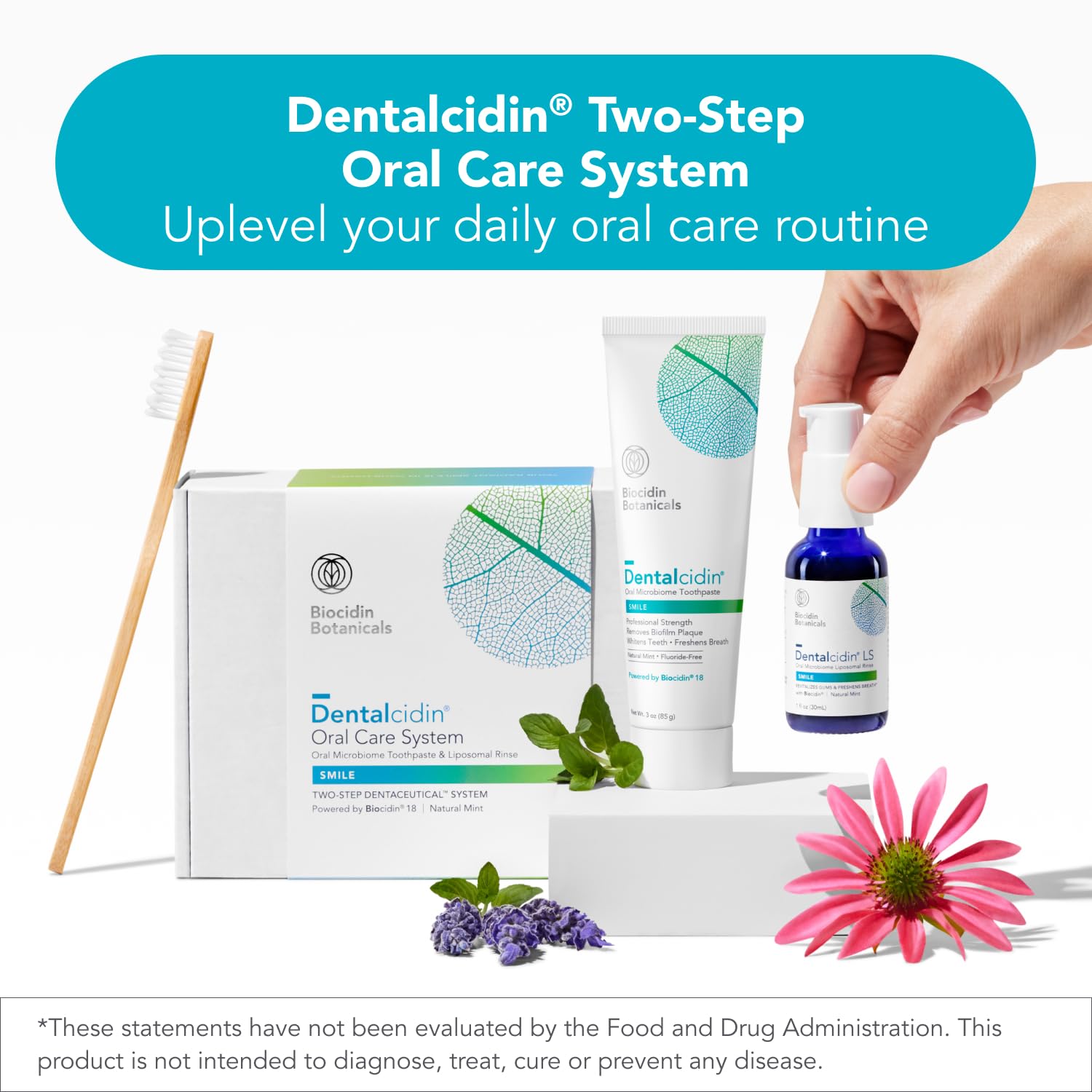 Bio-Botanical Research Biocidin Dentalcidin uso en cepillo, ilustra aplicación para limpieza efectiva