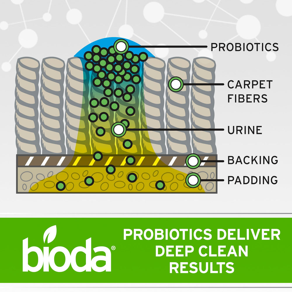 Bioda aplicado en contenedor de basura eliminando malos olores