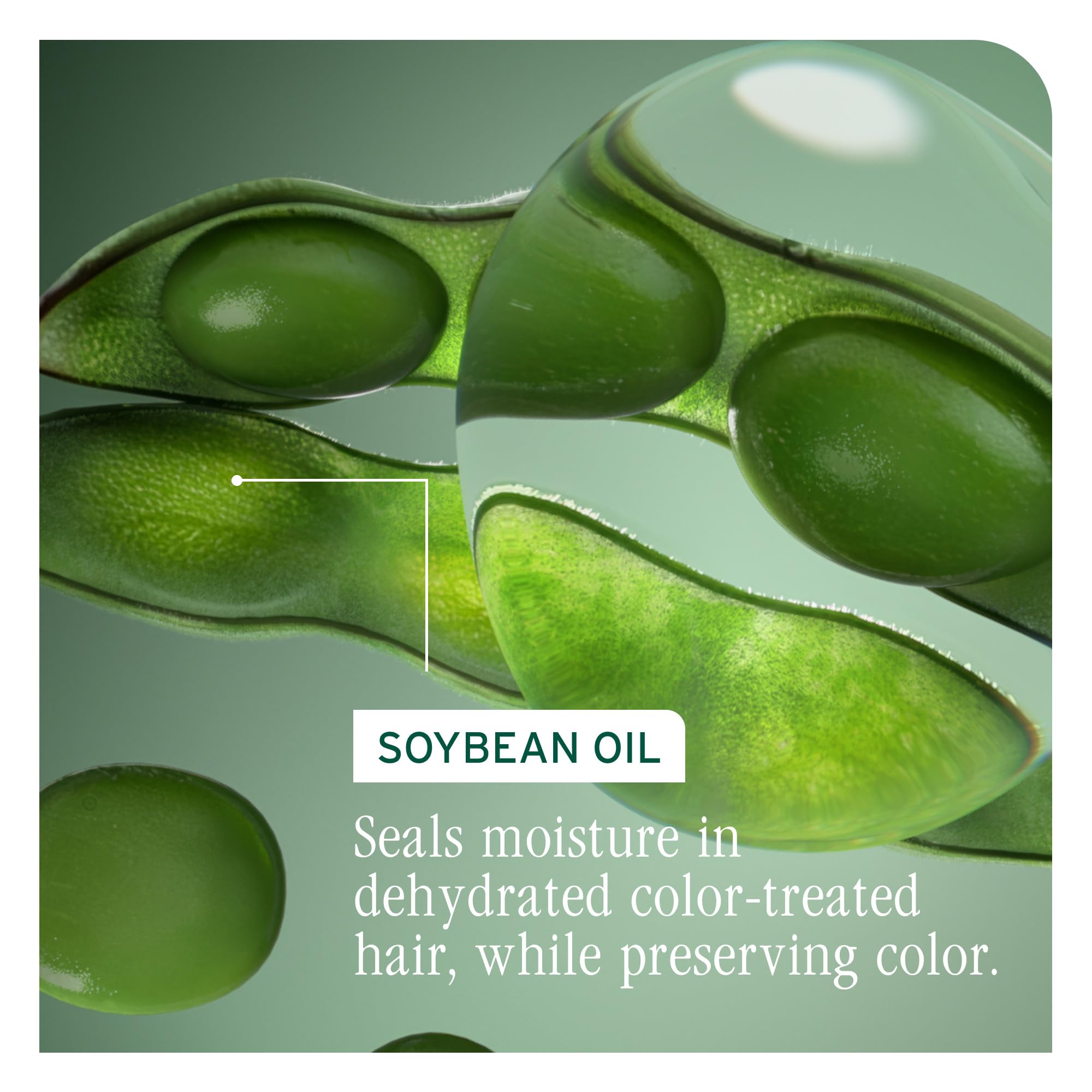 Biolage Color Last cabello brillante tras uso, mejora visiblemente el brillo