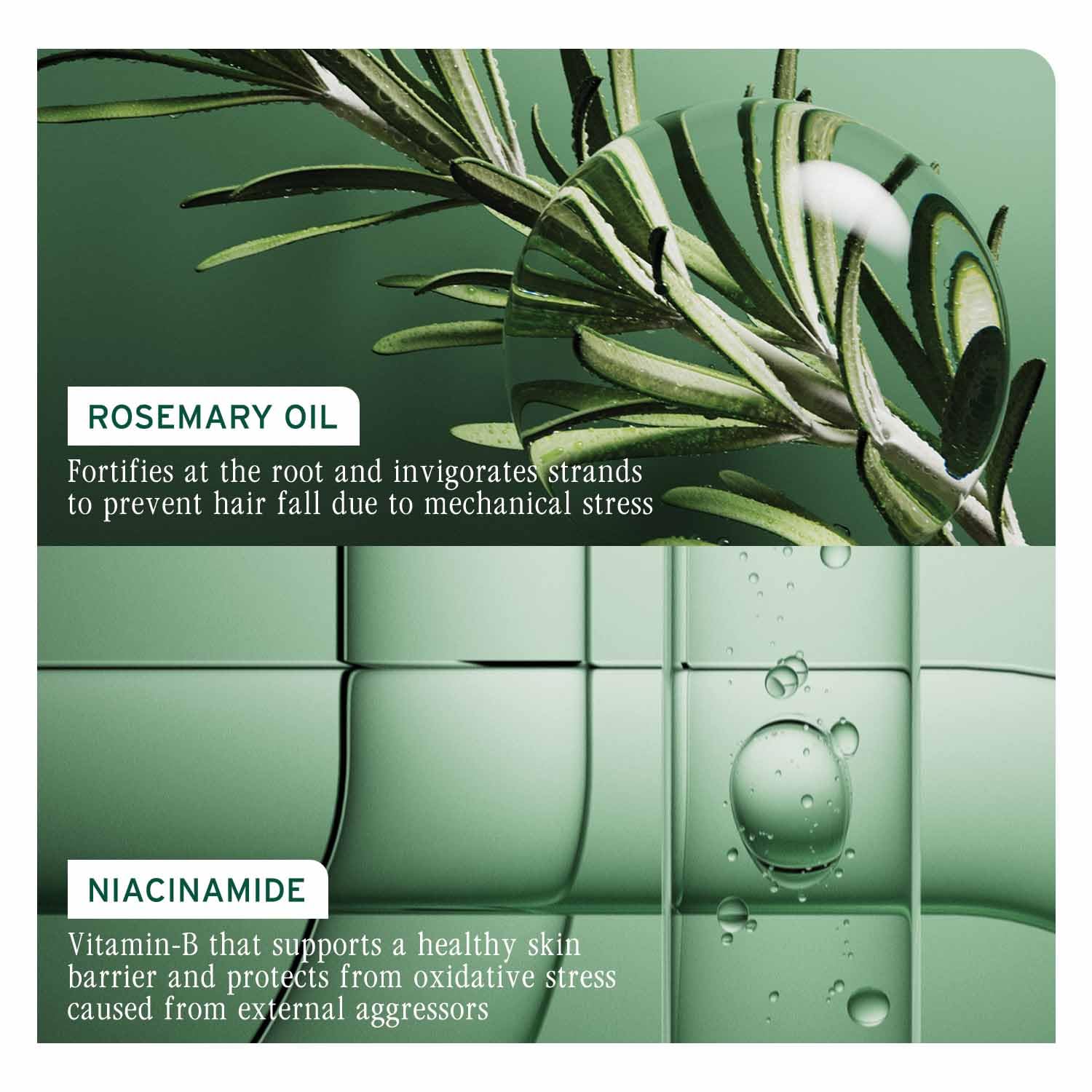 Biolage acondicionador sobre repisa de baño integrable a rutina