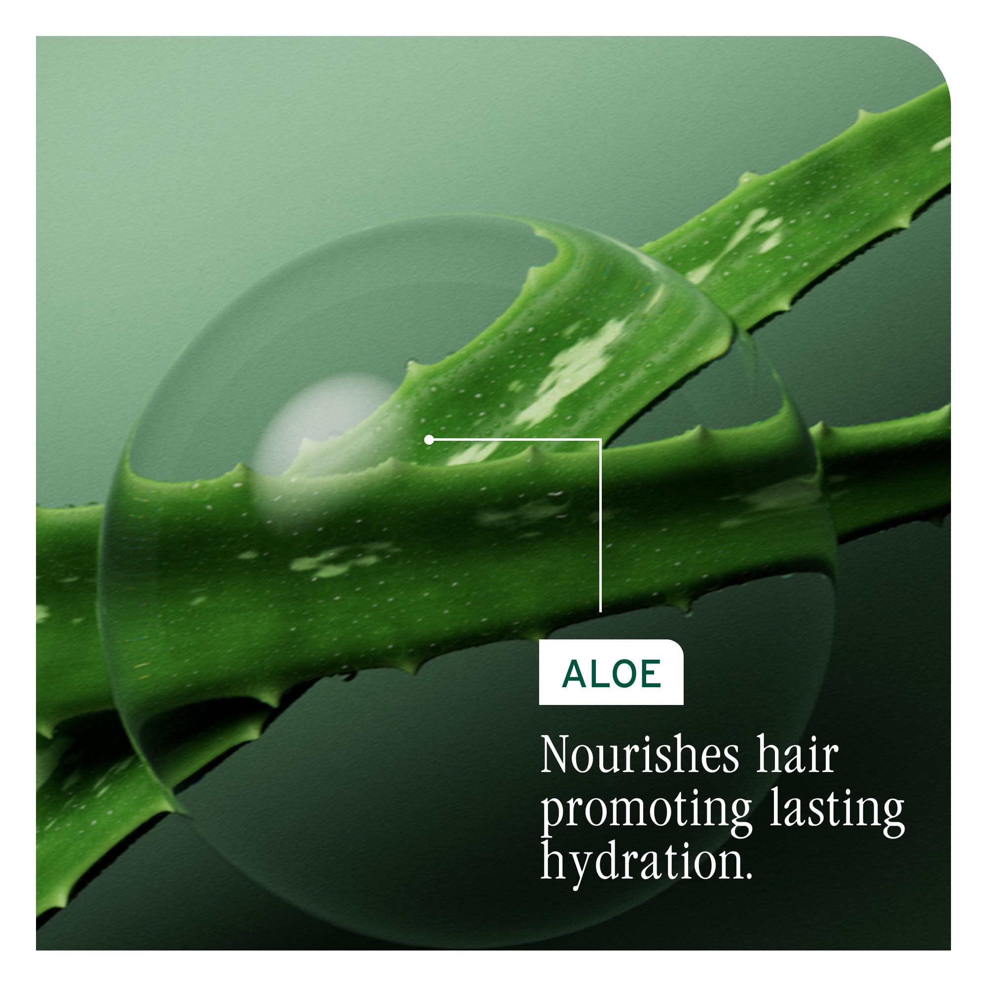 Biolage comparación de tamaño del envase para referencia de uso y cantidad