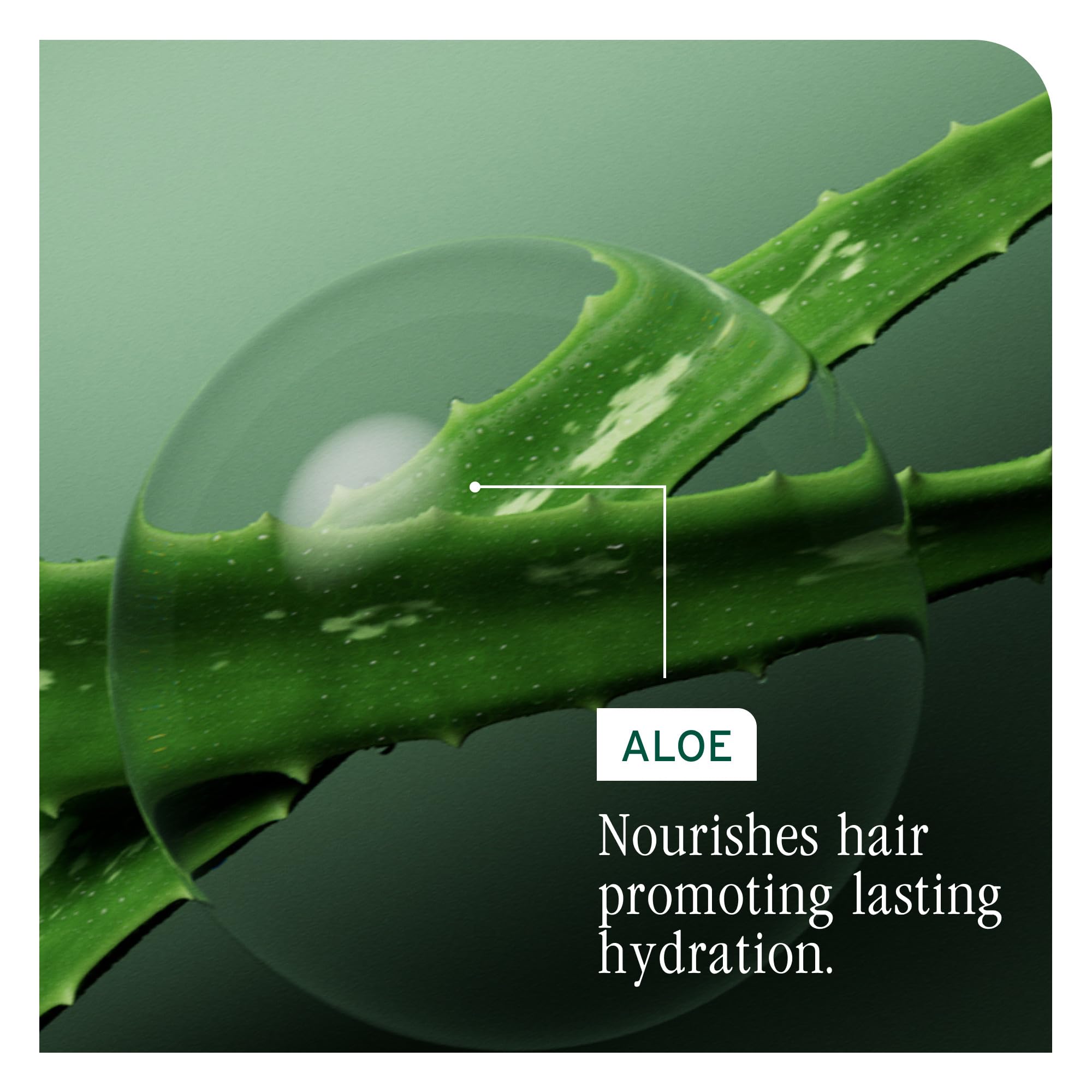 Biolage gama Hydra Source mostrando cómo combinar productos para hidratación