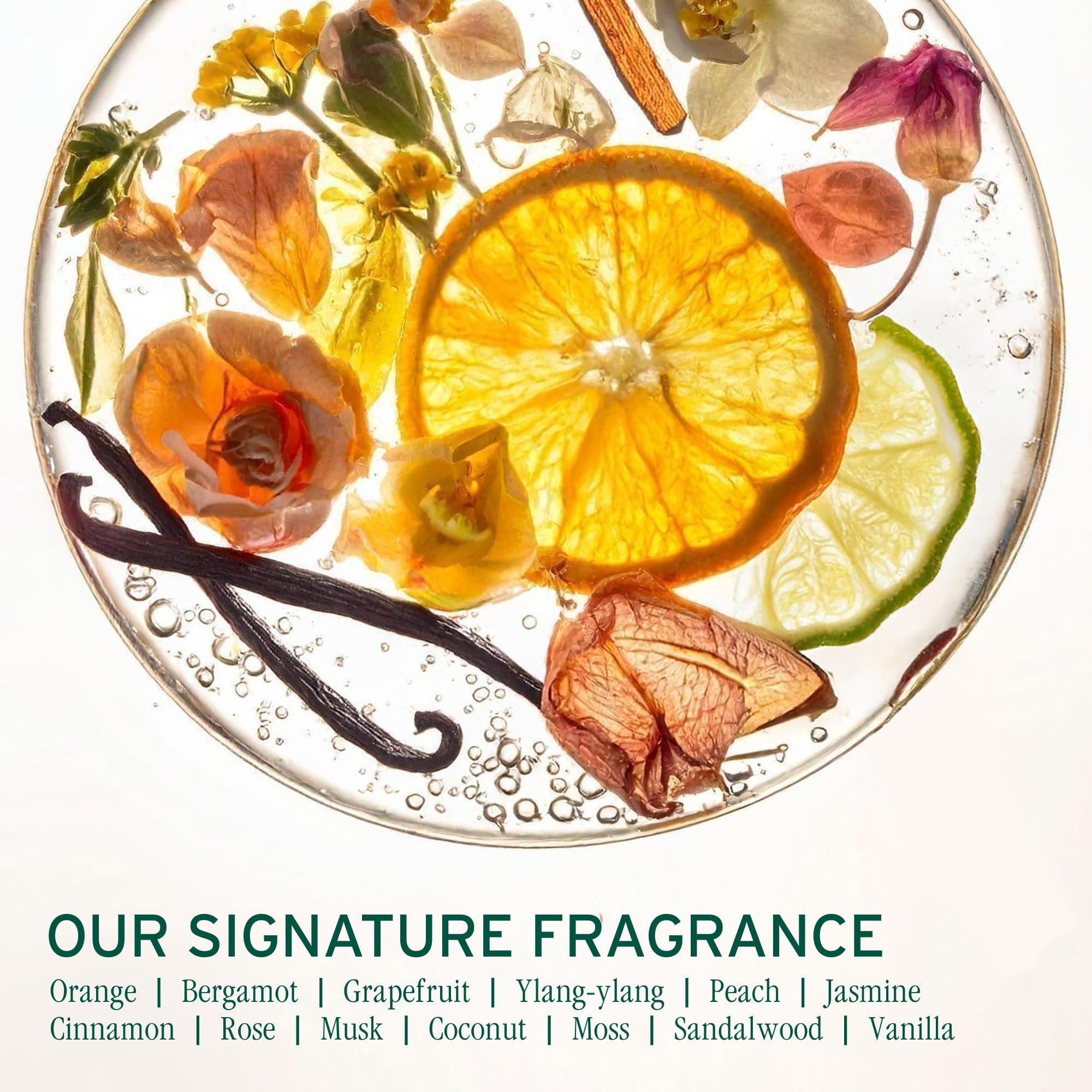 Biolage envase reciclado al 100% destacando sostenibilidad