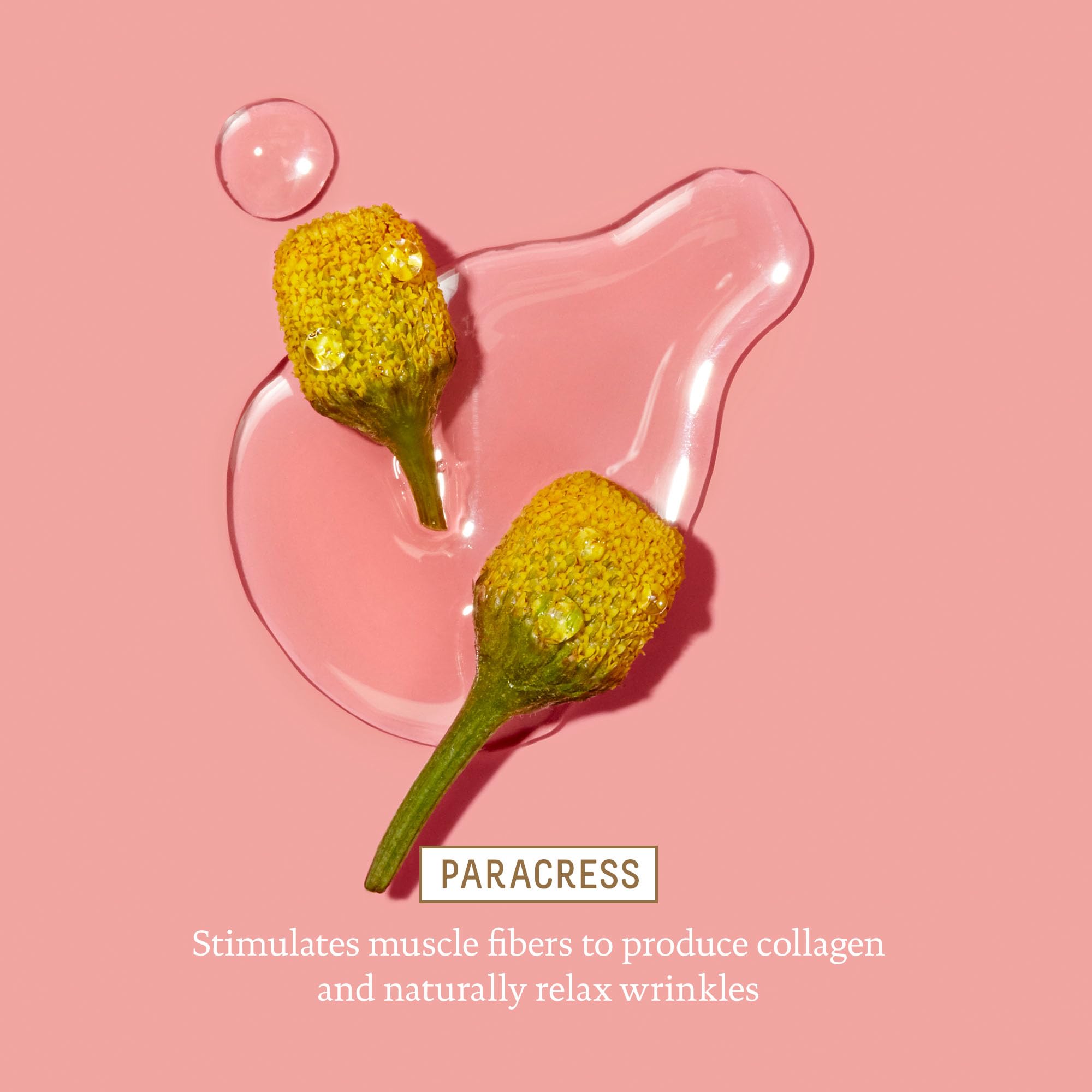 BIOSSANCE etiqueta con lista de ingredientes clave visible y legible