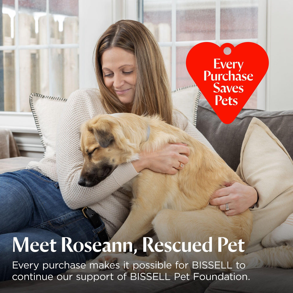 Bissell lifestyle pet home setting showing fresh carpets and pet-friendly cleanliness