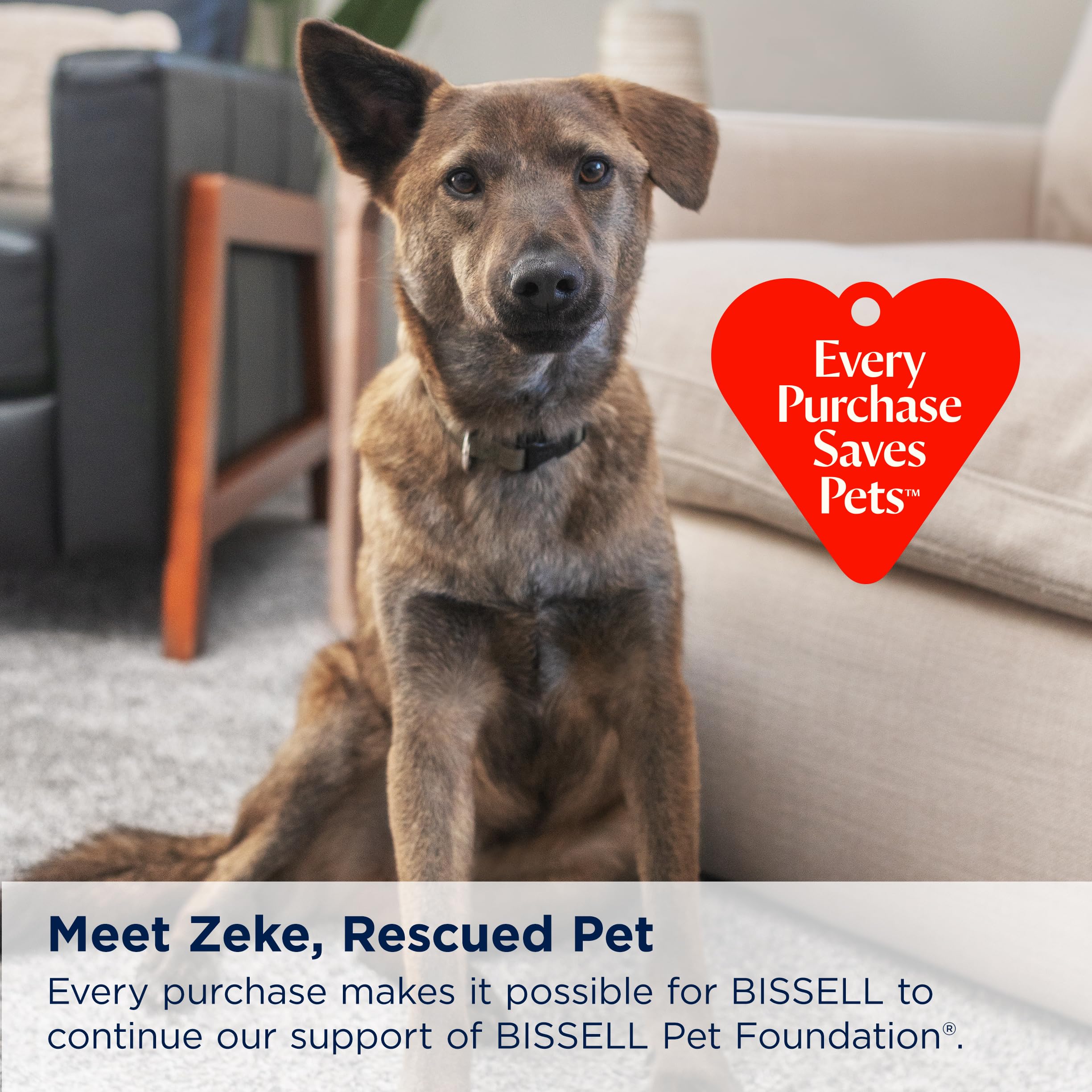 BISSELL Little Green Max Pet accesorios en la caja listos para uso inmediato