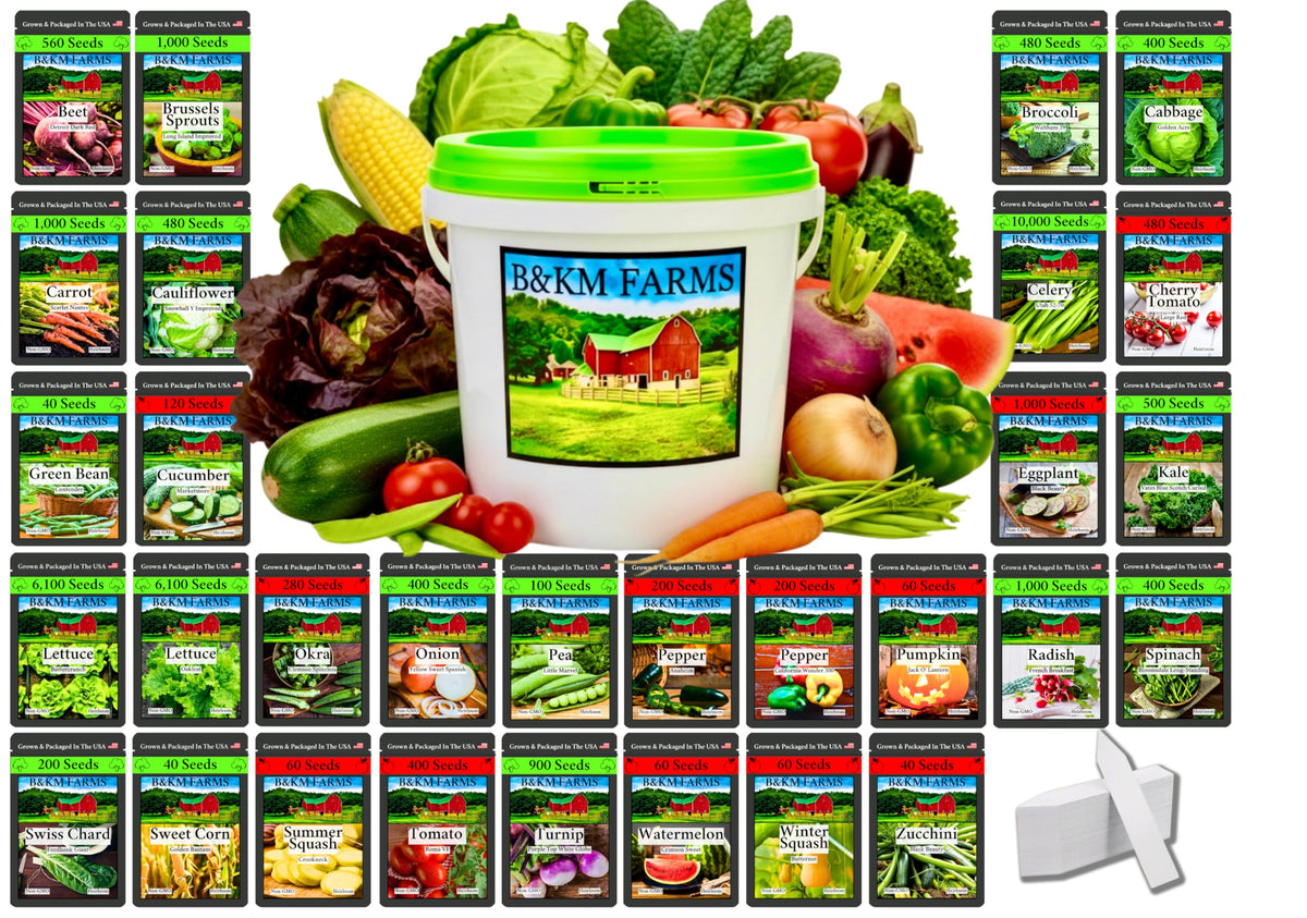 B&KM Farms frente del kit mostrando el cubo resellable y sobres, ideal para conservación