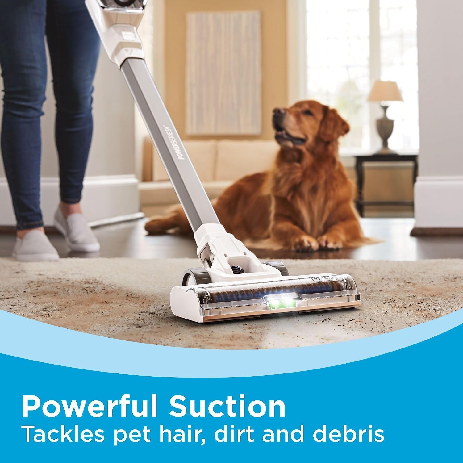 BLACK+DECKER uso en sofá recogiendo migas y pelo de mascota eficientemente