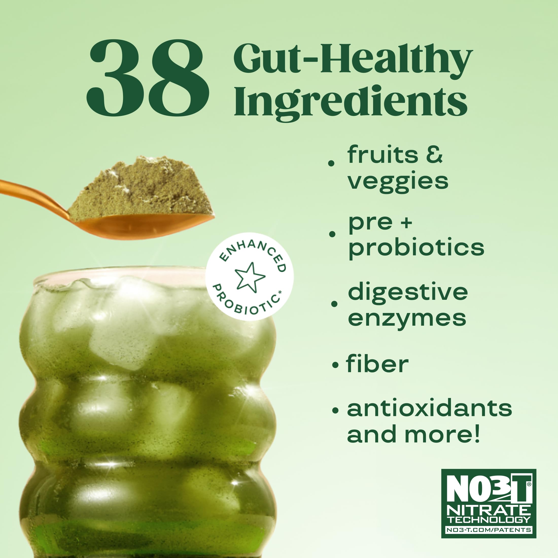 Disposición de ingredientes clave Bloom Nutrition indicando spirulina, chlorella y frutas