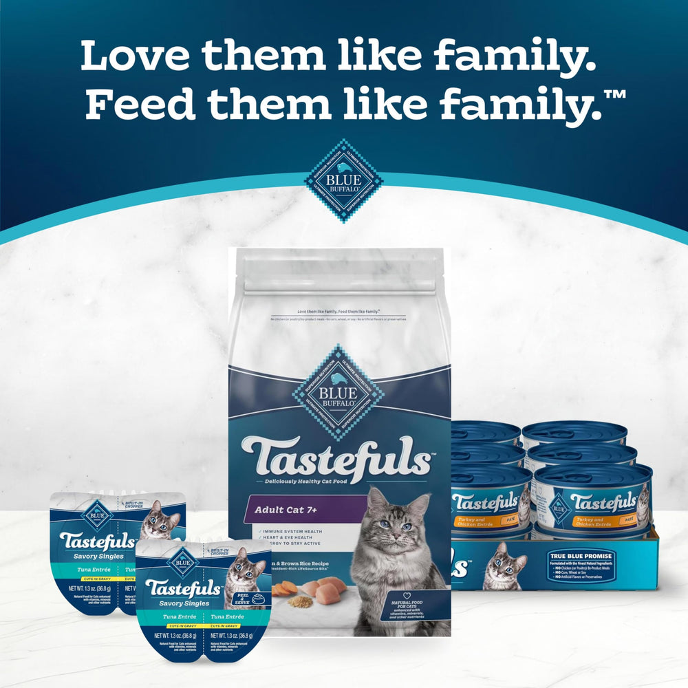 Blue Buffalo escena lifestyle con gato senior activo y aspecto saludable