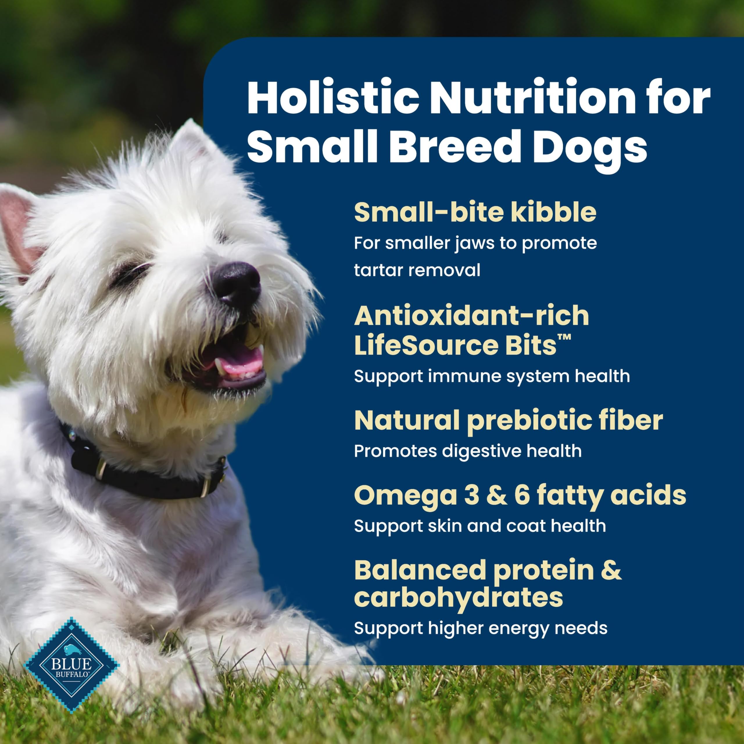 Blue Buffalo LifeSource Bits en primer plano conservando nutrientes antioxidantes