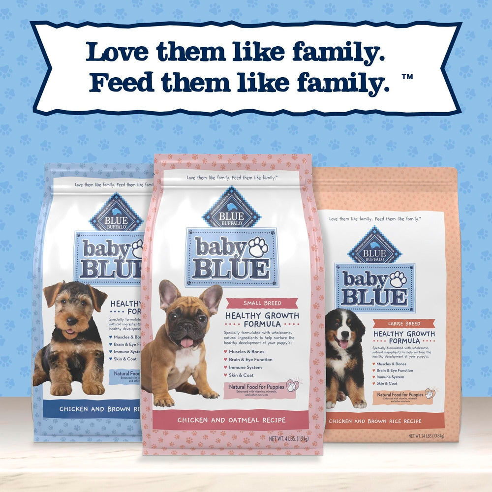Blue Buffalo cachorro jugando feliz tras alimentación nutritiva
