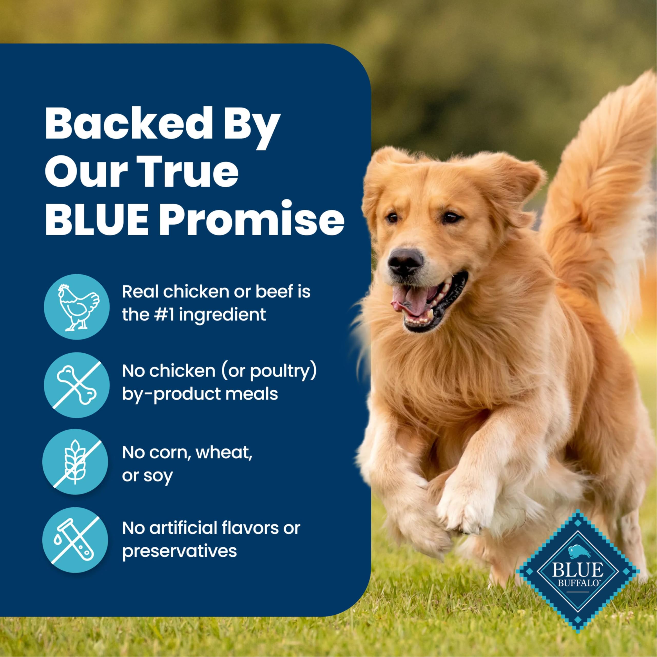Blue Buffalo estofado perro adulto comiendo satisfecho como beneficio nutritivo