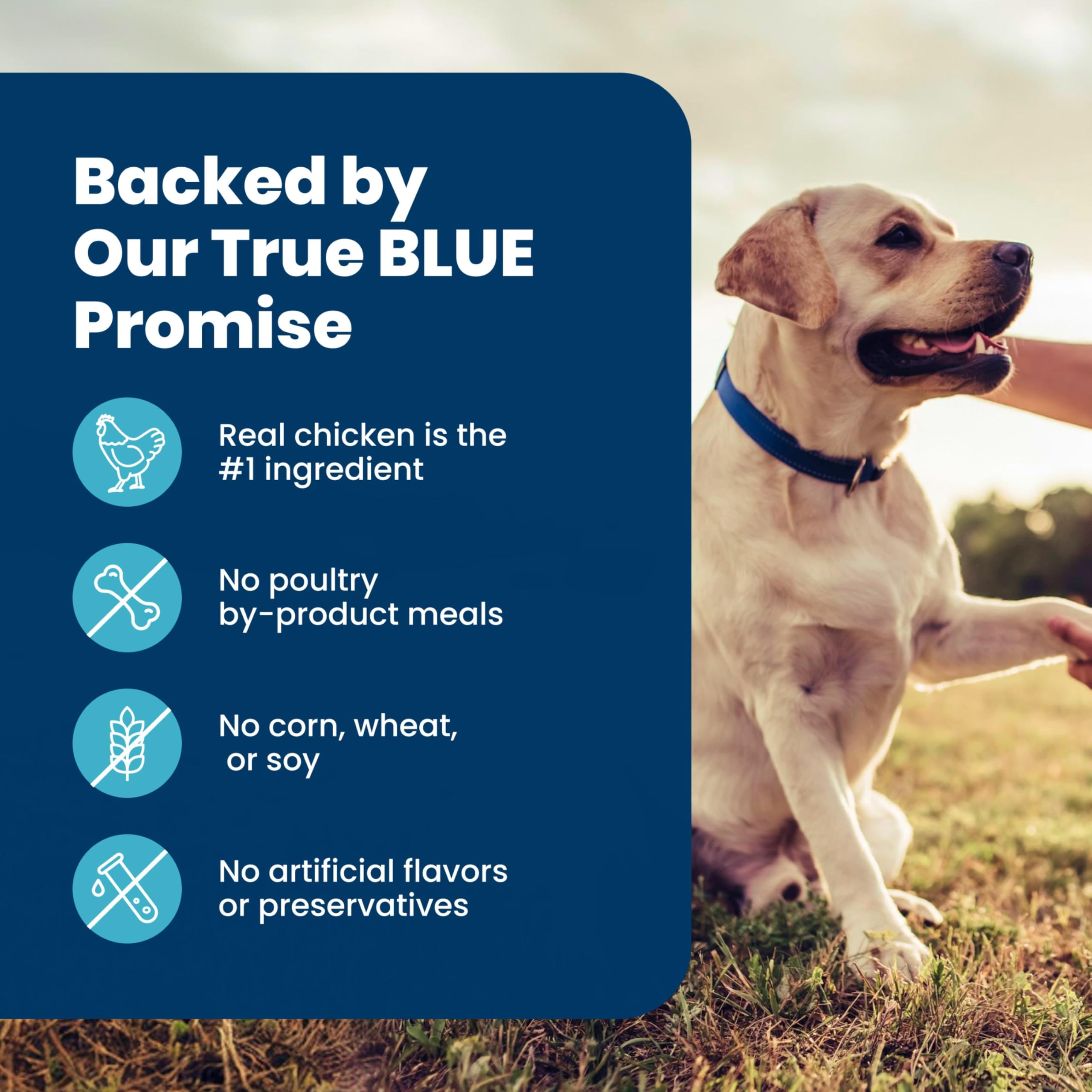 Blue Buffalo etiqueta nutricional detallada con información clara