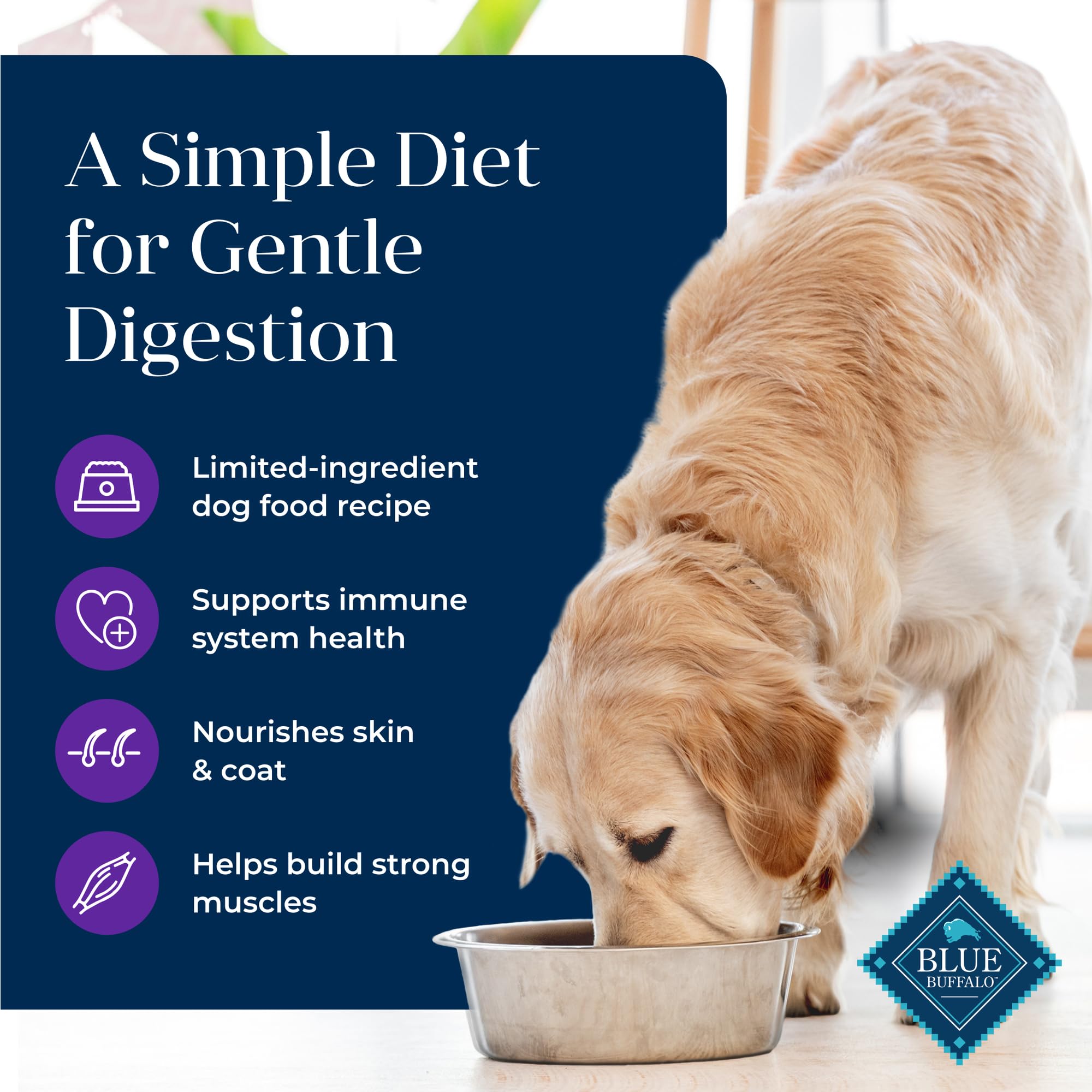 Blue Buffalo textura del croqueta cerca que facilita la masticación y digestión