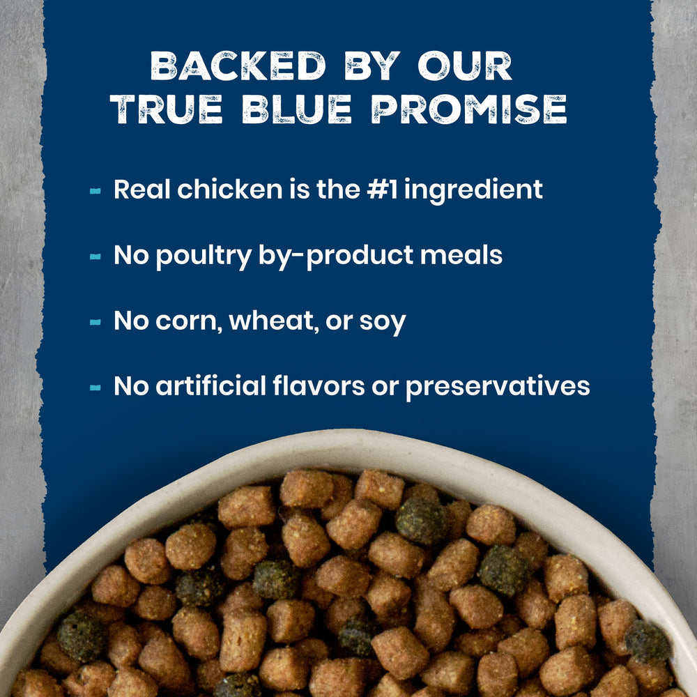 Blue Buffalo bol servido en cocina que muestra porción diaria práctica
