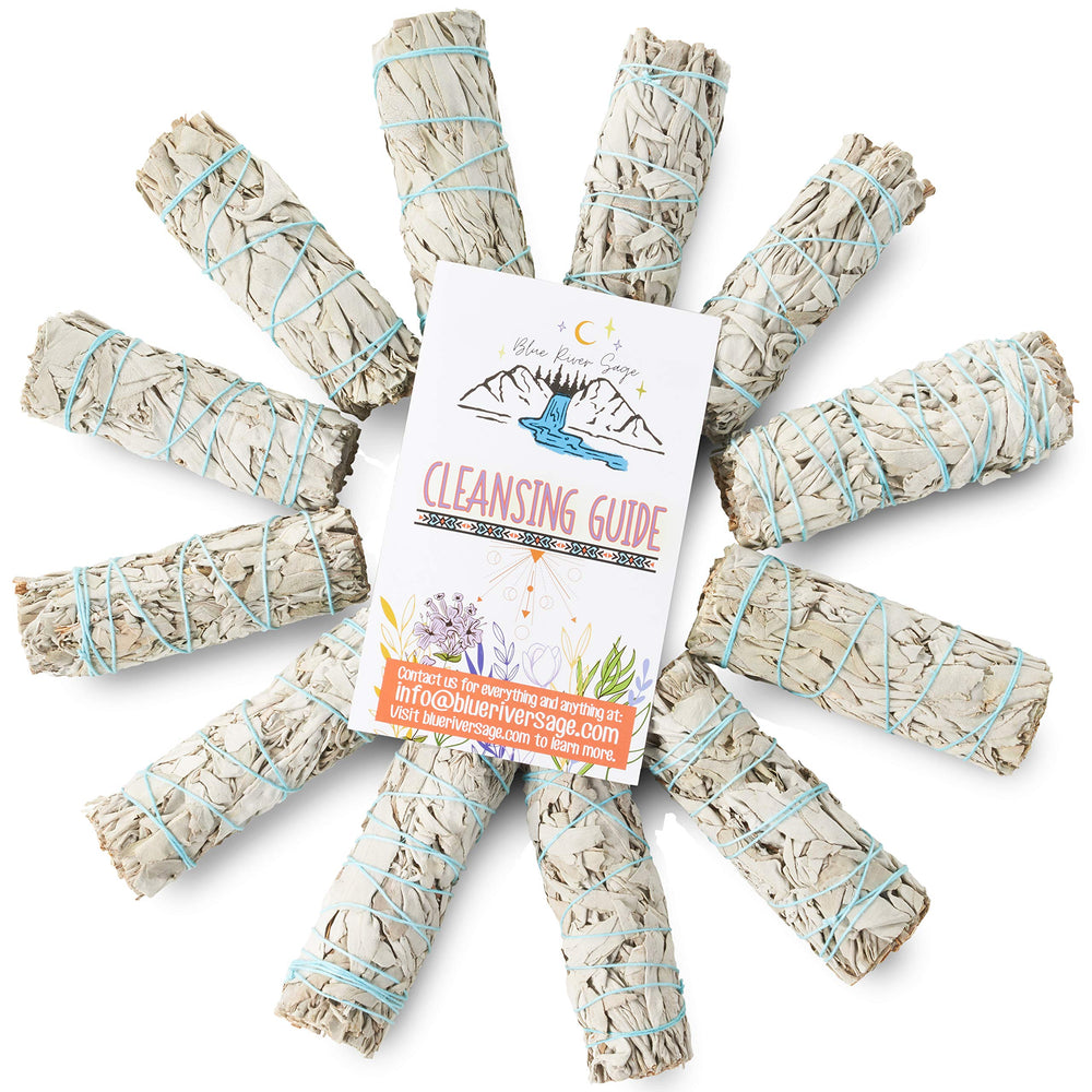 Blue River Sage textura de las hojas de salvia blanca destacando aspecto natural