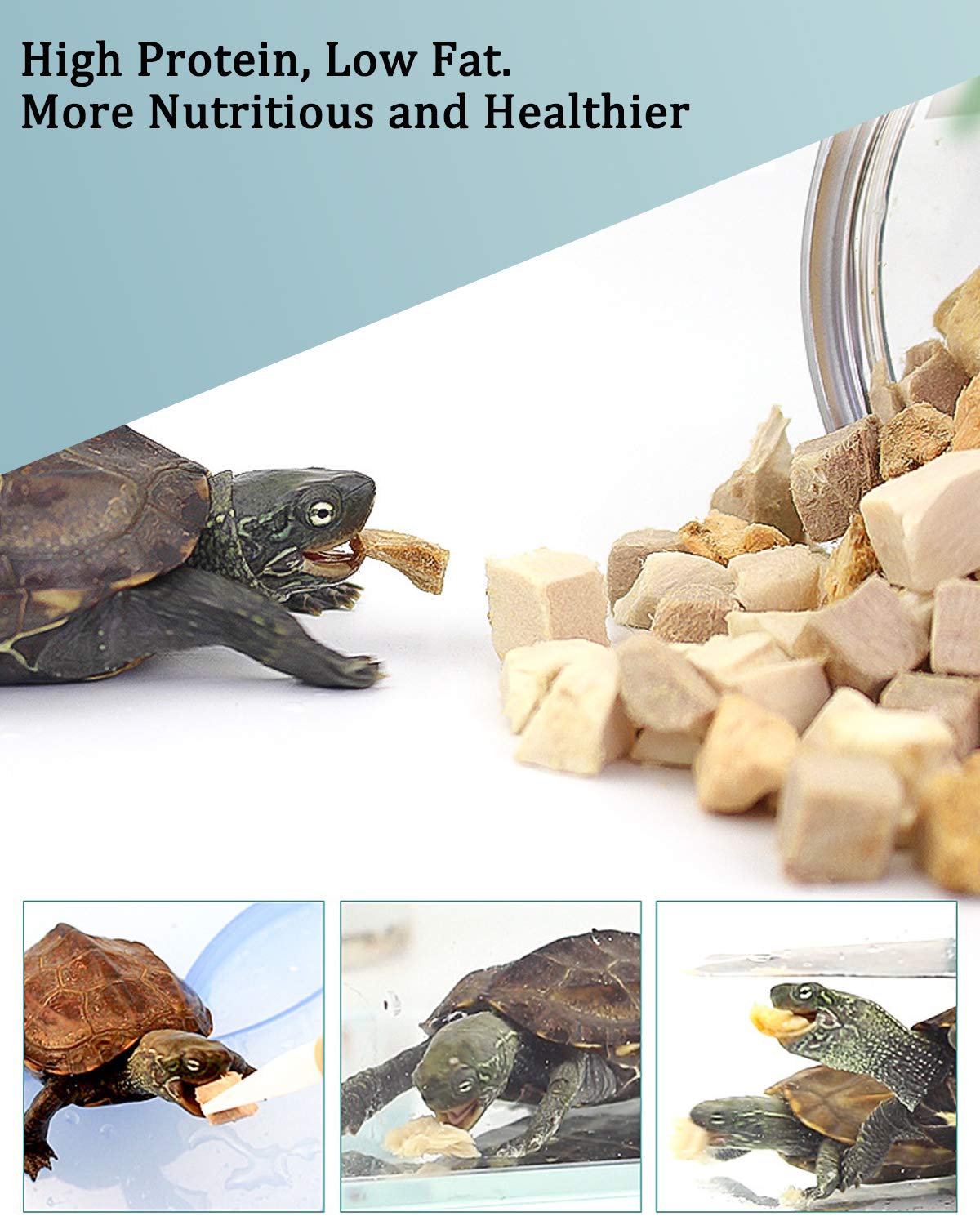 BNYEE trozos rehidratados en agua listos para la tortuga