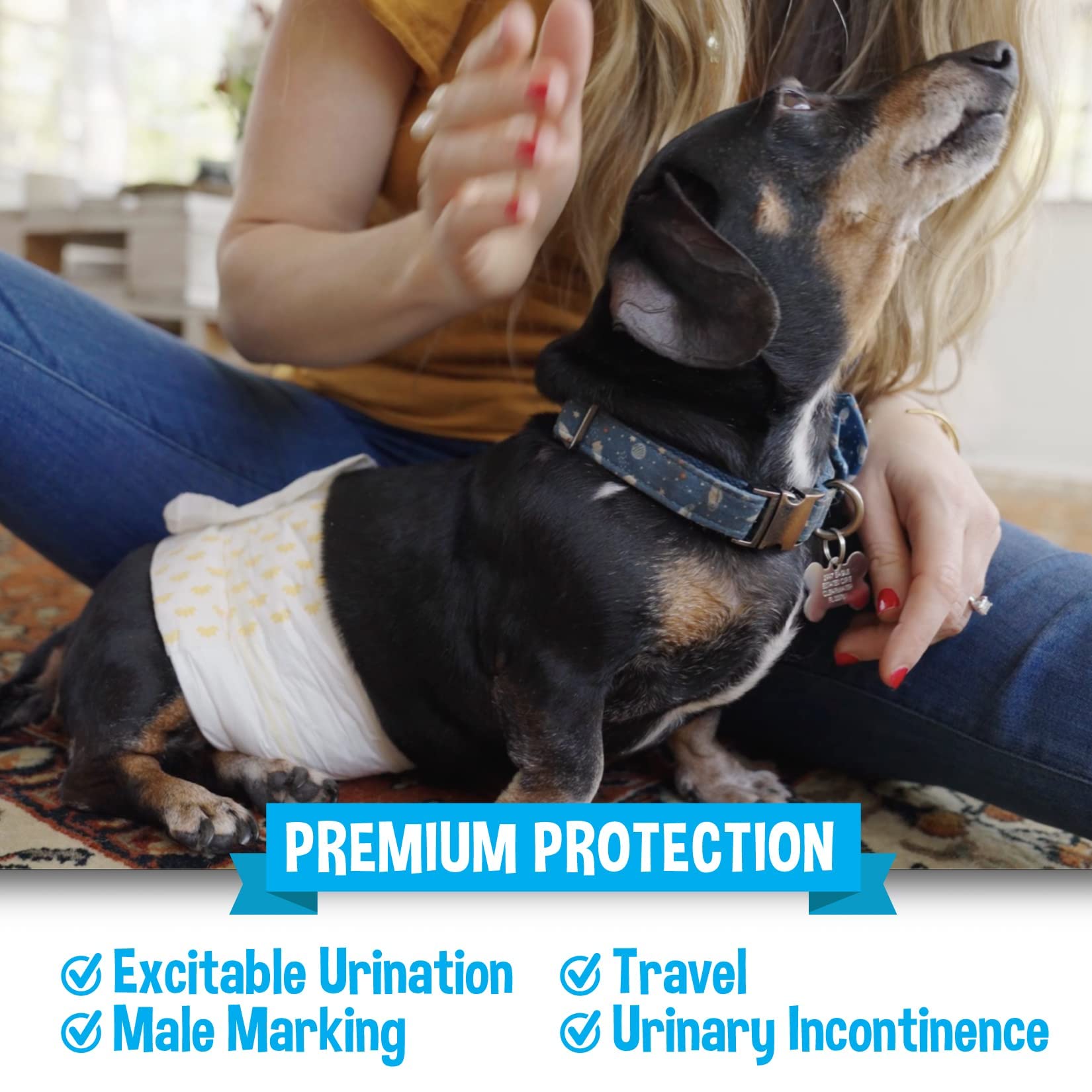 Bodhi Dog comparación de talla con cinta métrica para seleccionar correctamente