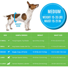 Bodhi Dog primer plano del núcleo que gelifica para mantener seco al perro