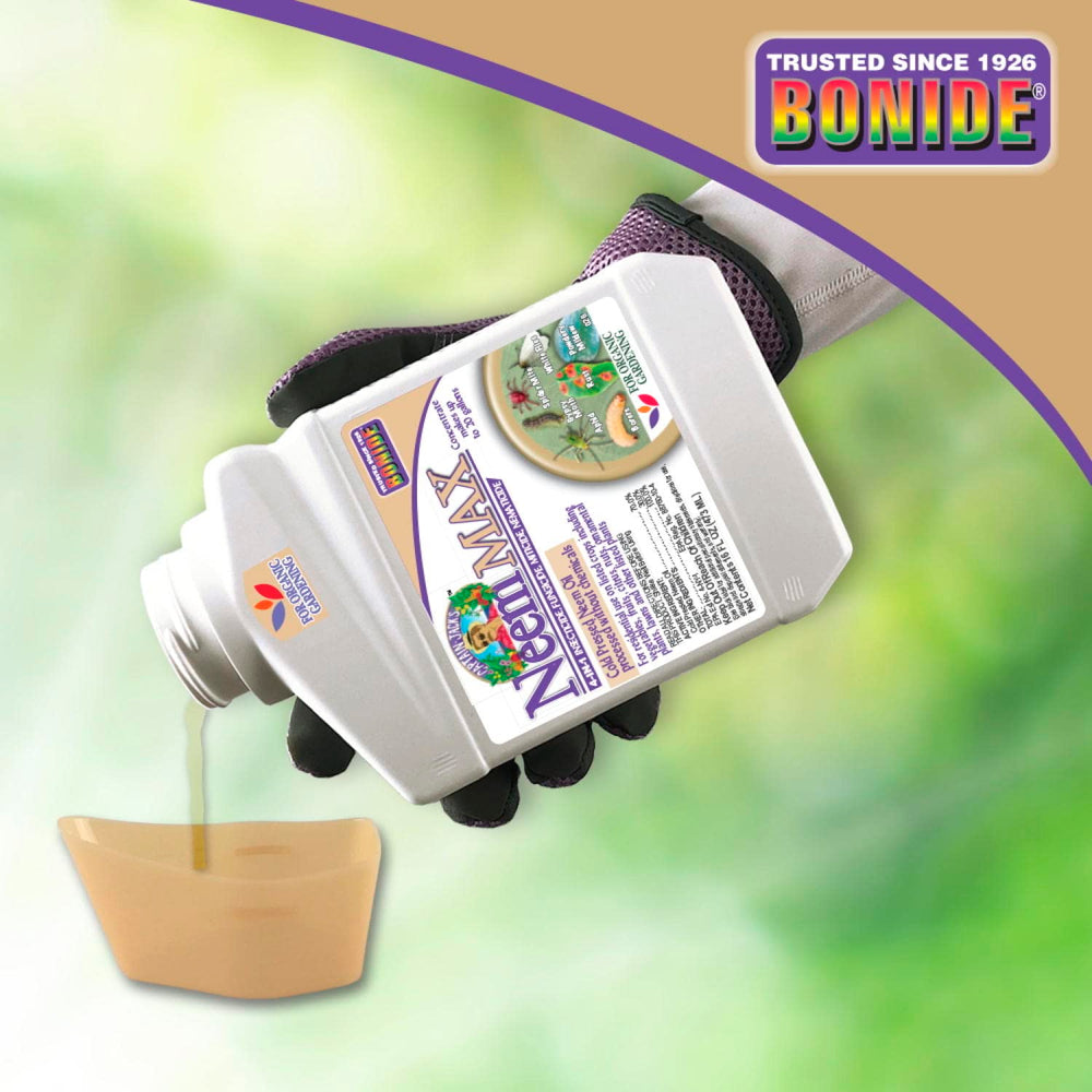 Bonide aplicado en plantas de interior para control seguro de plagas