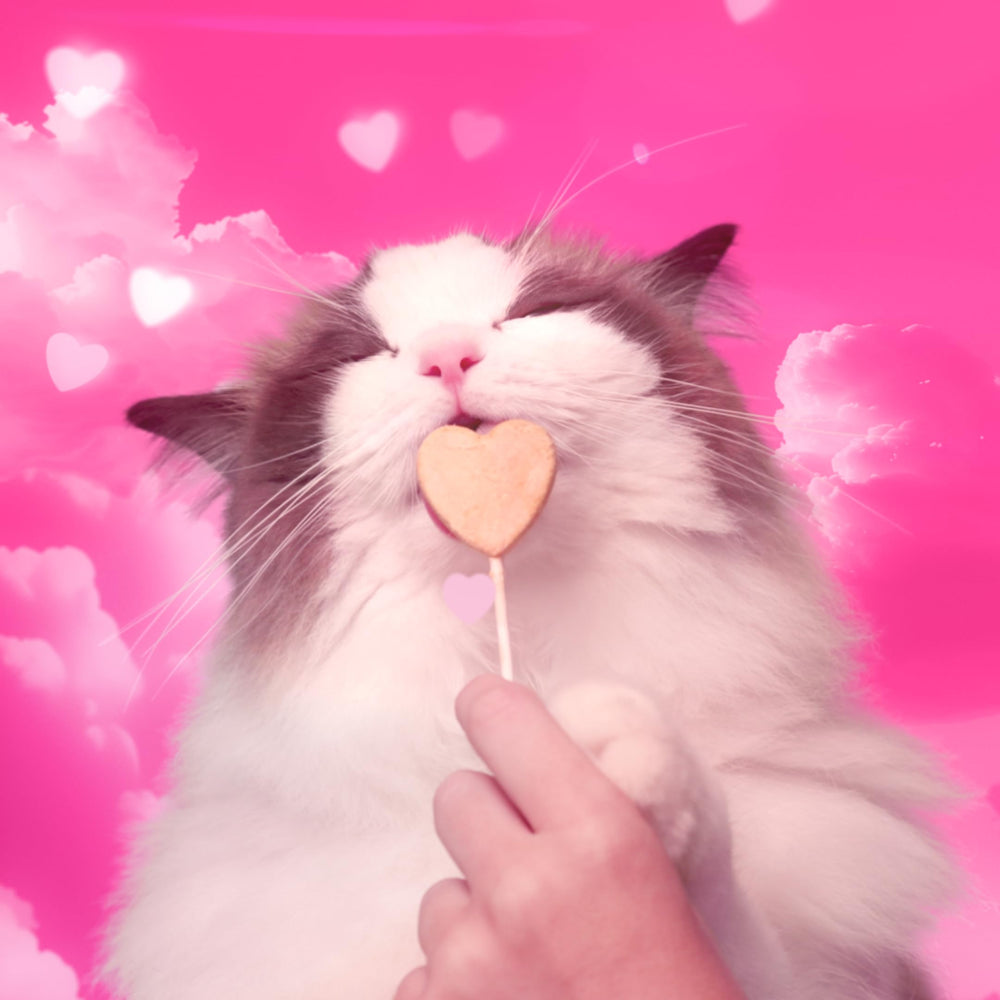 Bonkers Purrpops 15 paletas desplegadas mostrando cantidad y facilidad de uso