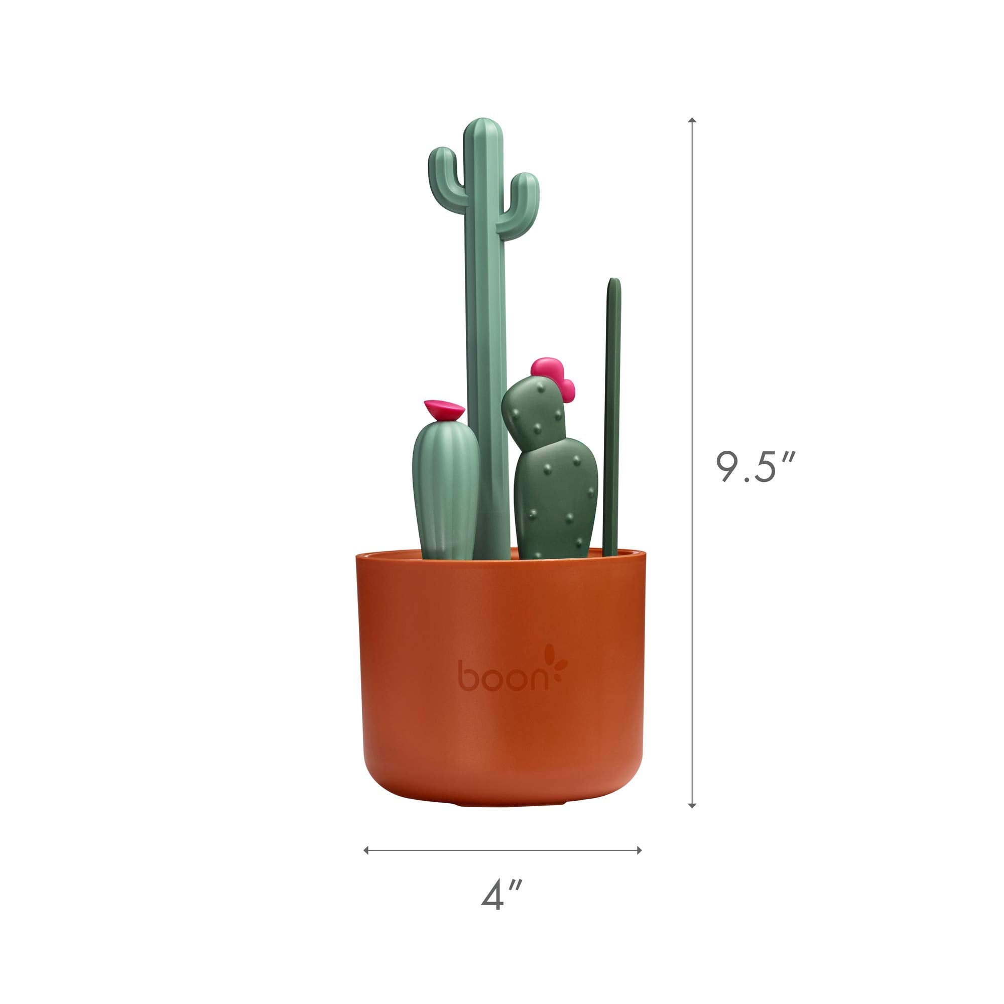 Boon cacti comparación de tamaño junto a un biberón para escala