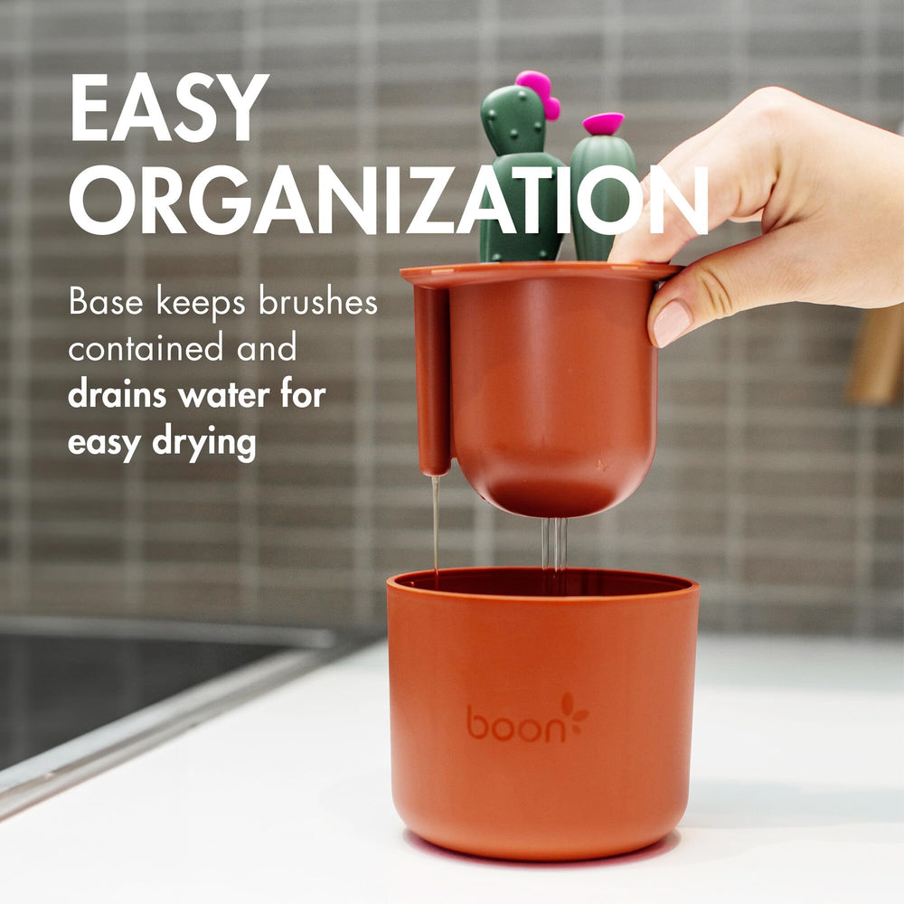 Boon cacti vaso organizador recogiendo agua y facilitando secado