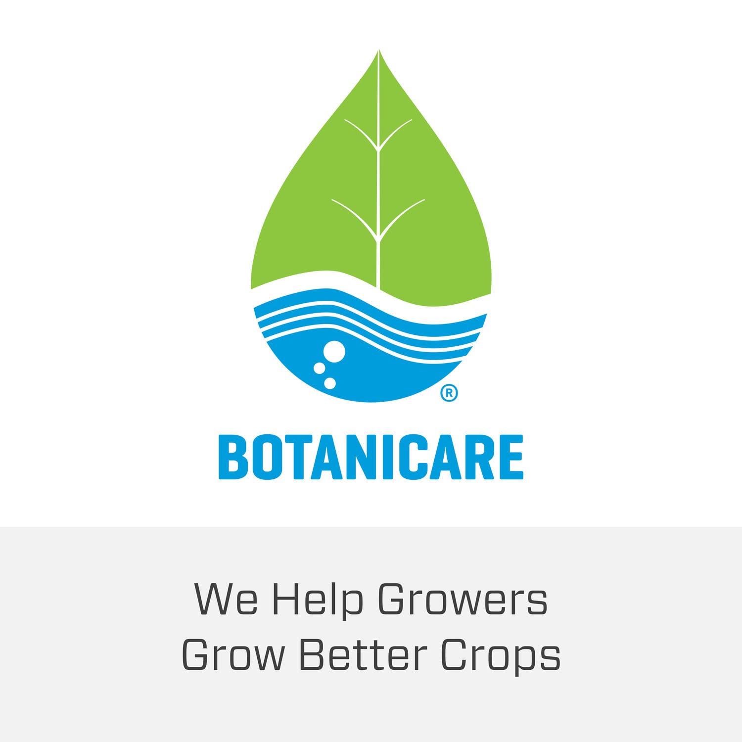 Botanicare Cal‑Mag Plus en jardín casero demostrando plantas más saludables