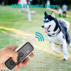 BOUSNIC collar con luces encendidas de noche, visibilidad y seguridad nocturna