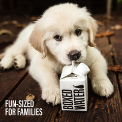 BOXED WATER IS BETTER caja en mochila escolar, práctico y listo para almuerzos