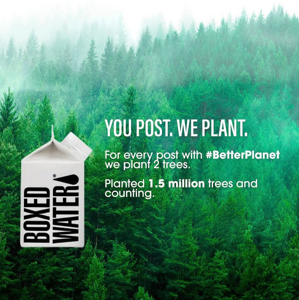 BOXED WATER IS BETTER comparación de tamaño en mano, porción fácil de llevar