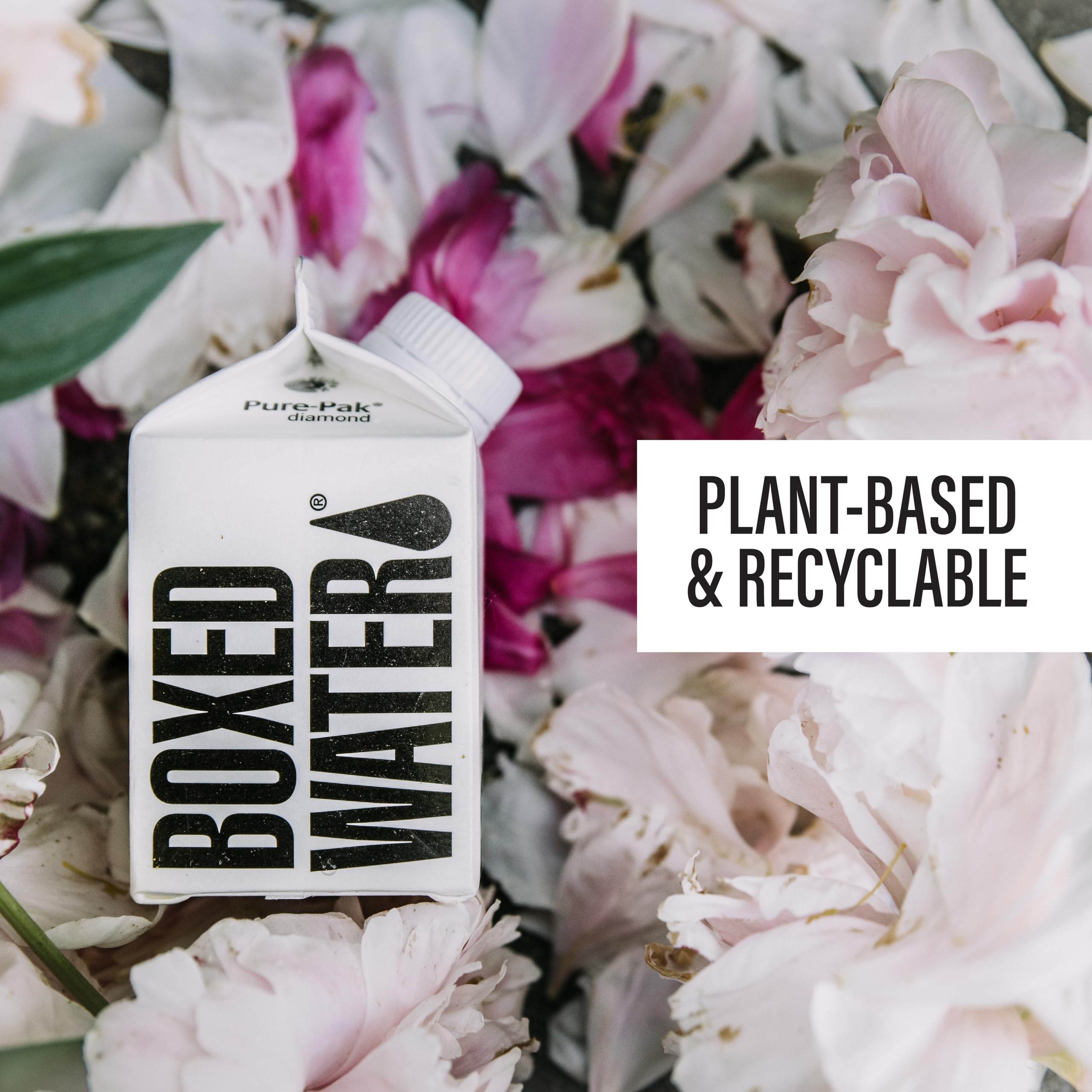 BOXED WATER IS BETTER etiqueta con compromiso de plantación de árboles, transparencia ambiental
