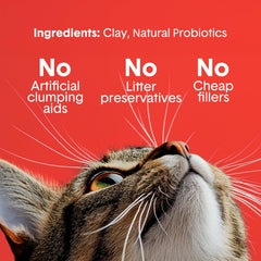 Boxiecat in an automatic litter box illustrating smooth operation benefit