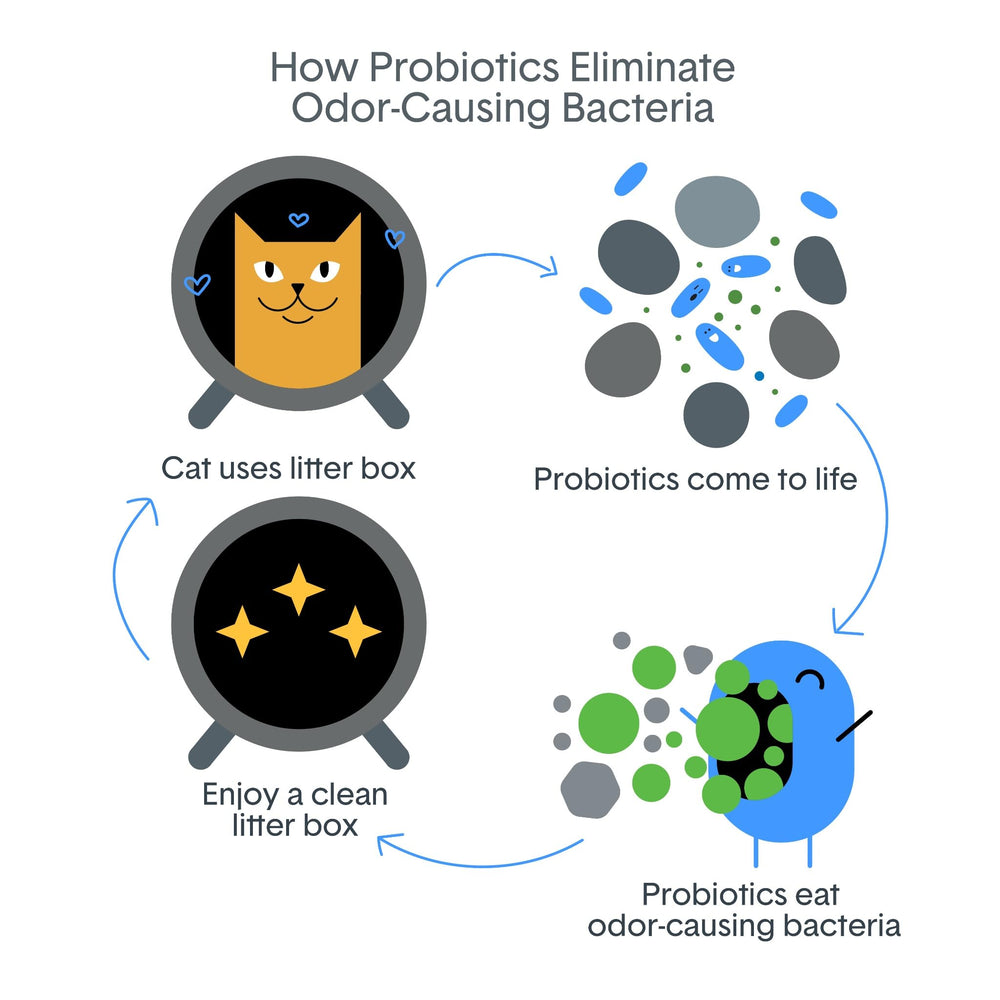 BoxiePro Bot etiqueta con ingredientes probióticos y sin fragancia