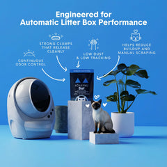 BoxiePro Bot detalle de textura de grano, suave para patas