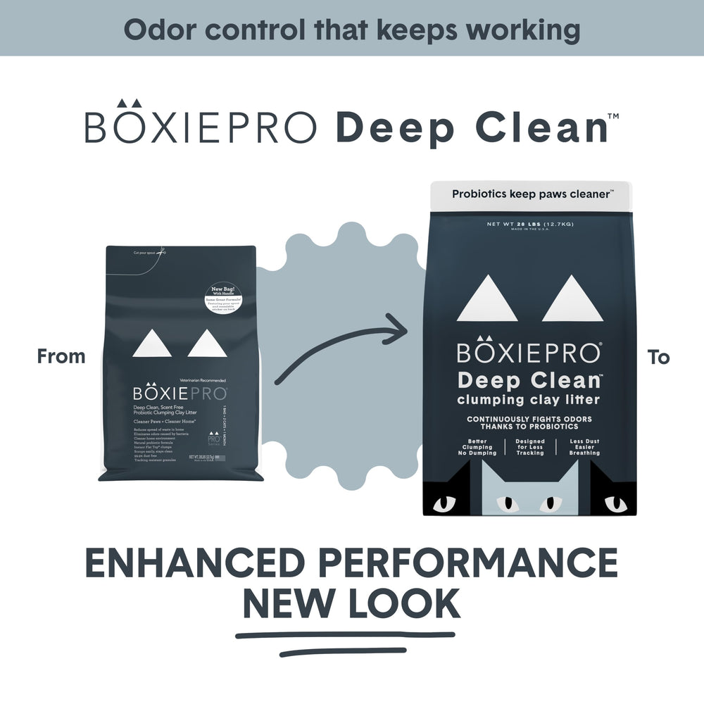 BoxiePro close-up of hard clump texture demonstrating fast scooping benefit