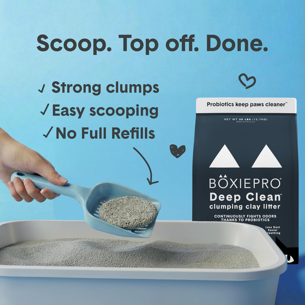 BoxiePro pala retirando grumo compacto para limpieza rápida