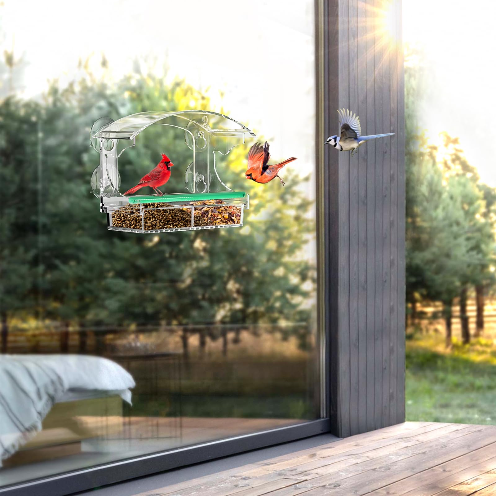 BPYOT comedero instalado en jardín atrayendo aves y enriqueciendo el entorno