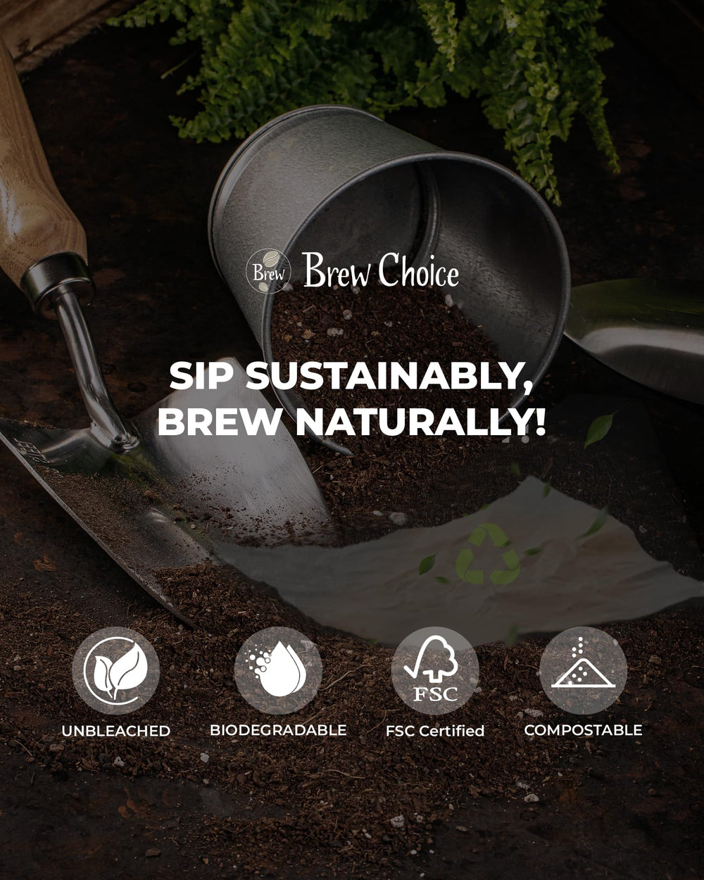 Brew Choice comparación de tamaño con taza, capacidad 5 a 13 tazas