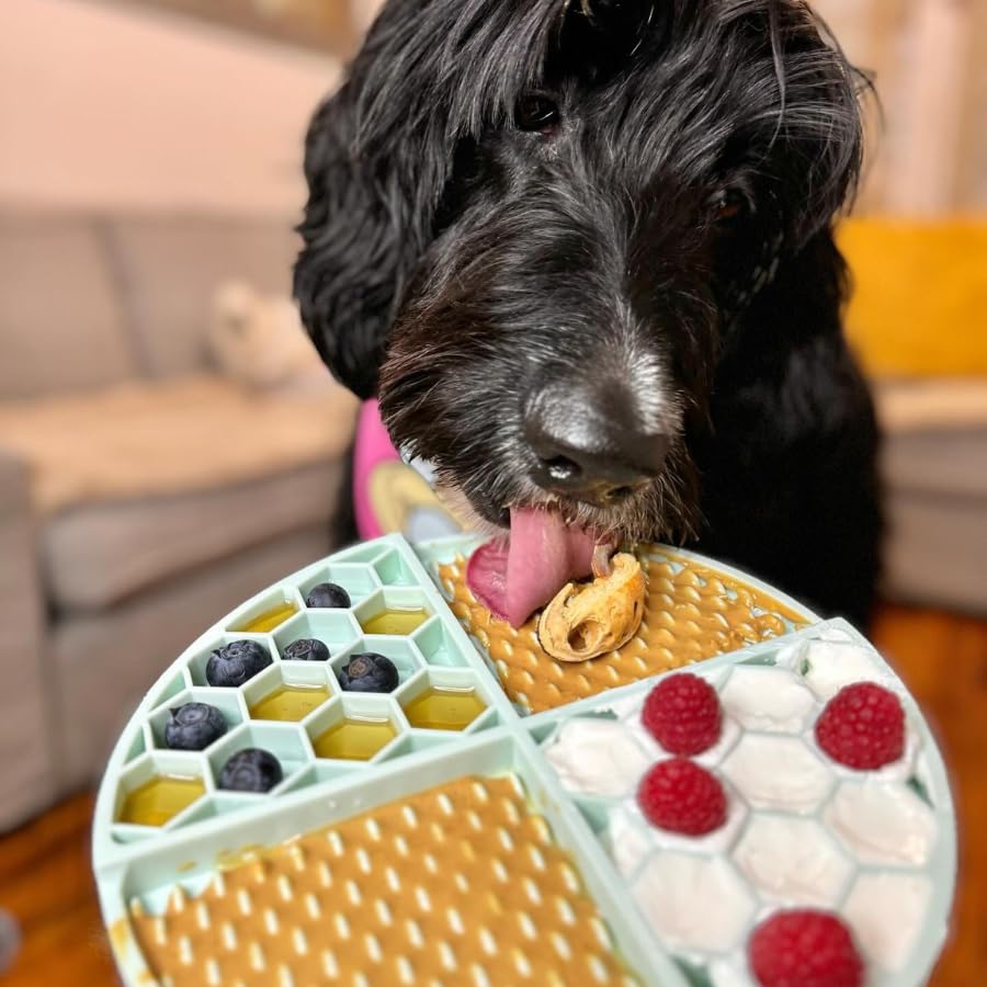 BUDDY BUDDER aplicando mantequilla en juguete kong para enriquecimiento canino