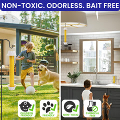 BugBane small dish with fruit bait showing targeted fruit fly capture