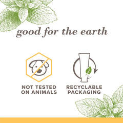 Burt's Bees tubo abierto con textura crema para limpieza suave