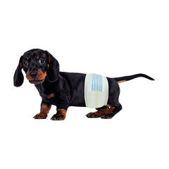 BV paquete frontal de pañales para perro macho mostrando 50 unidades y conveniencia
