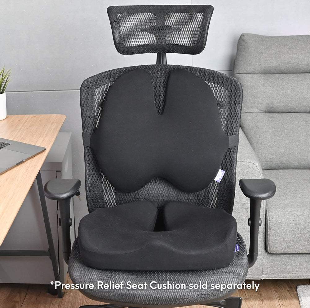 C CUSHION LAB comparación de tamaño para facilidad de transporte