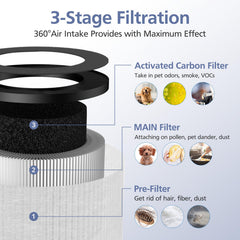 Cabiclean filtro instalado en purificador demostrando mejora del aire